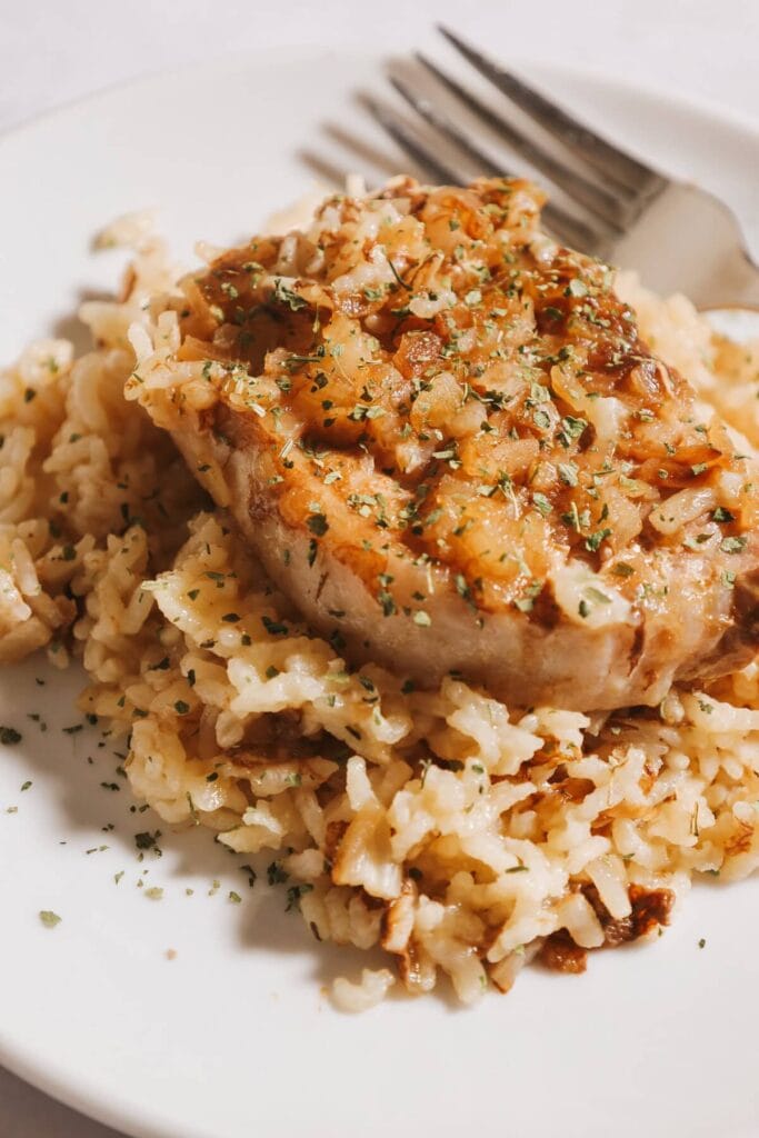 Pork chop rice casserole on a plate.