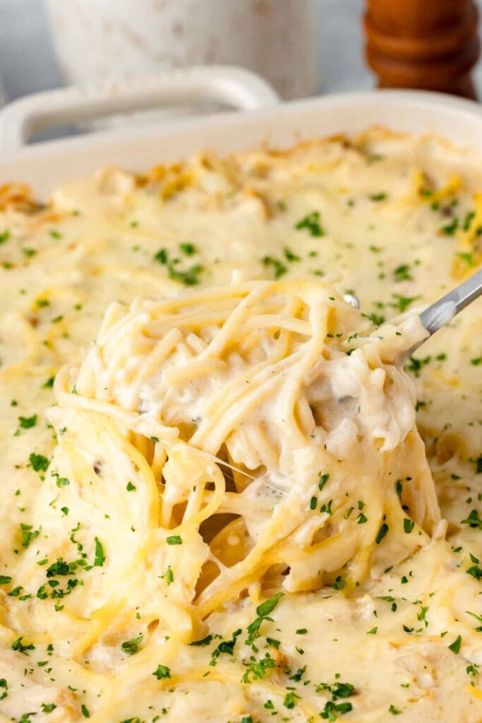 Chicken tetrazzini in a baking dish.