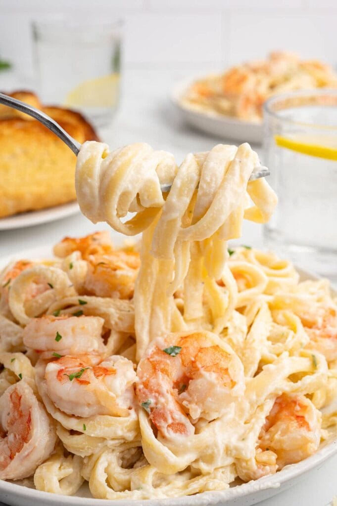 Shrimp Alfredo pasta on a fork.