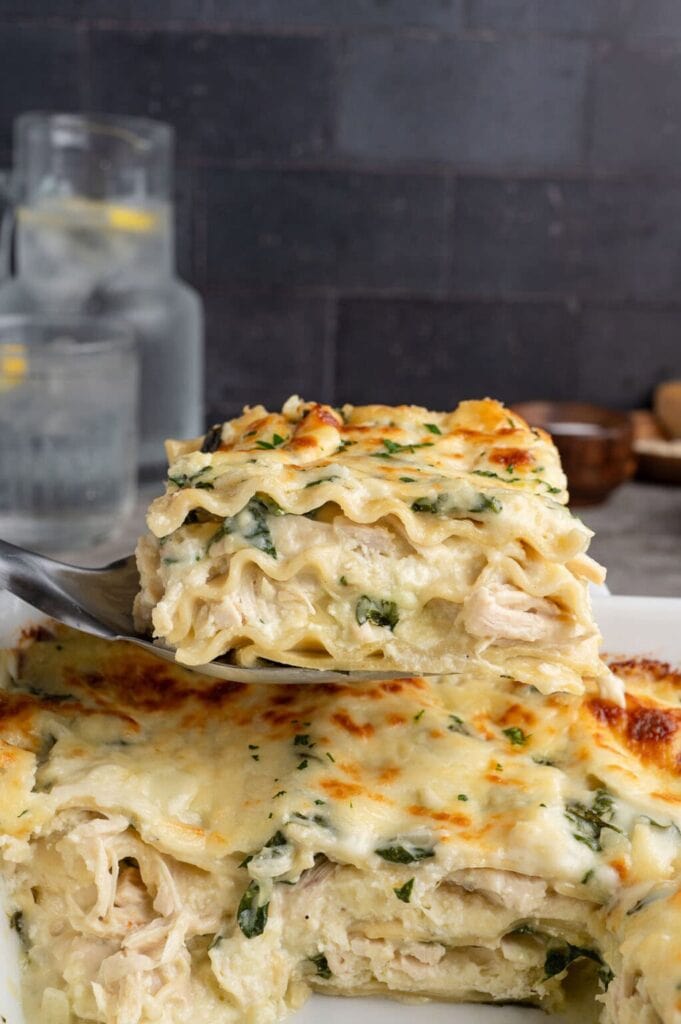 White chicken lasagna on a spatula.